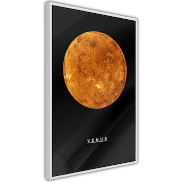 Poster Artgeist Affisch Venus