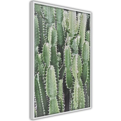 Poster Artgeist Affisch Cactus Garden