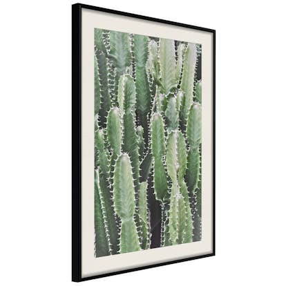 Poster Artgeist Affisch Cactus Garden