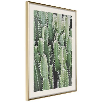 Poster Artgeist Affisch Cactus Garden