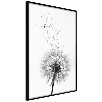 Poster Artgeist Affisch Dandelion