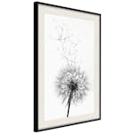 Poster Artgeist Affisch Dandelion