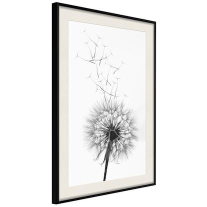 Poster Artgeist Affisch Dandelion