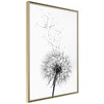 Poster Artgeist Affisch Dandelion
