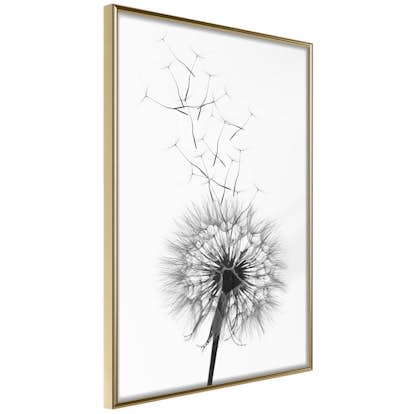 Poster Artgeist Affisch Dandelion