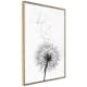 Poster Artgeist Affisch Dandelion