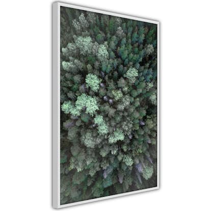 Poster Artgeist Affisch Flying Over Forest