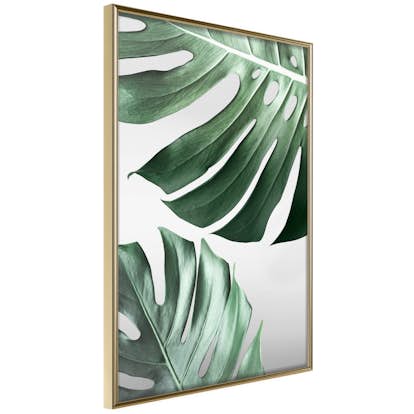 Poster Artgeist Affisch Monstera Leaves