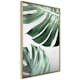 Poster Artgeist Affisch Monstera Leaves