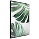 Poster Artgeist Affisch Monstera Leaves