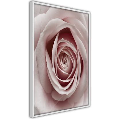 Poster Artgeist Affisch Pastel Rose