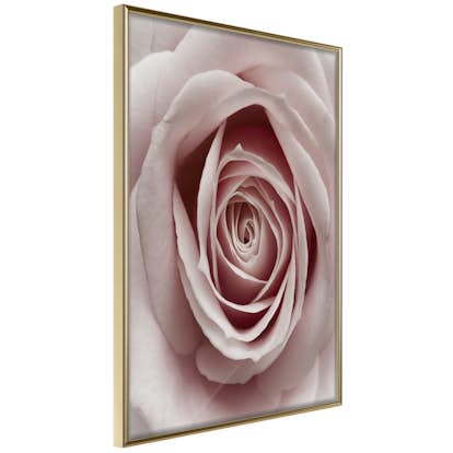 Poster Artgeist Affisch Pastel Rose