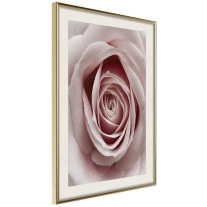 Poster Artgeist Affisch Pastel Rose