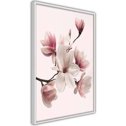 Poster Artgeist Affisch Delicate Magnolias