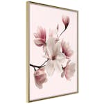 Poster Artgeist Affisch Delicate Magnolias