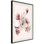 Poster Artgeist Affisch Delicate Magnolias