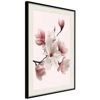 Poster Artgeist Affisch Delicate Magnolias