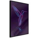 Poster Artgeist Affisch Purple Hummingbird