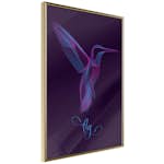 Poster Artgeist Affisch Purple Hummingbird