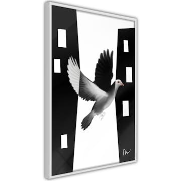 Poster Artgeist Affisch White Dove