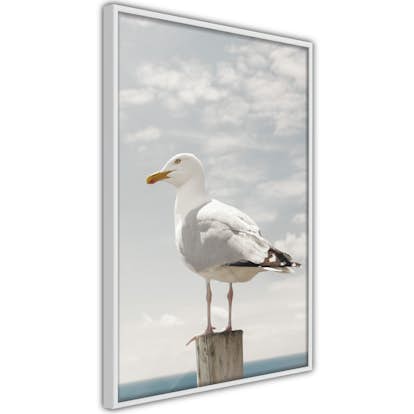 Poster Artgeist Affisch Seagull