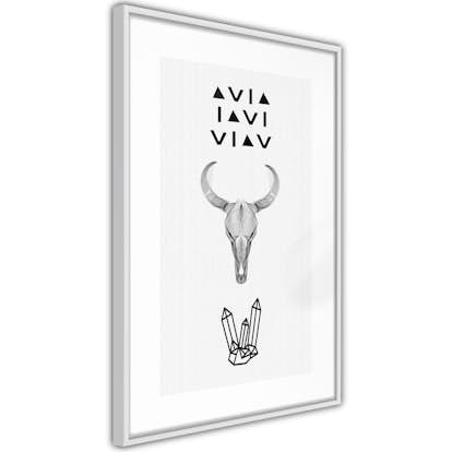 Poster Artgeist Affisch Animal Skull