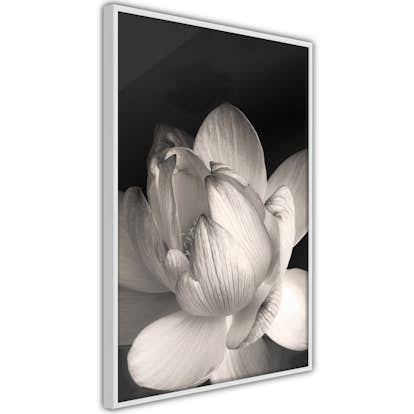 Poster Artgeist Affisch White Subtlety