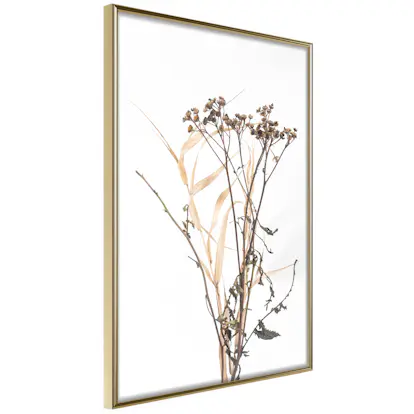 Poster Artgeist Affisch Camomile