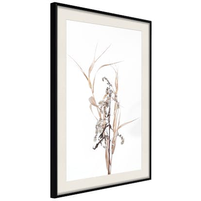 Poster Artgeist Affisch Composition of Herbs