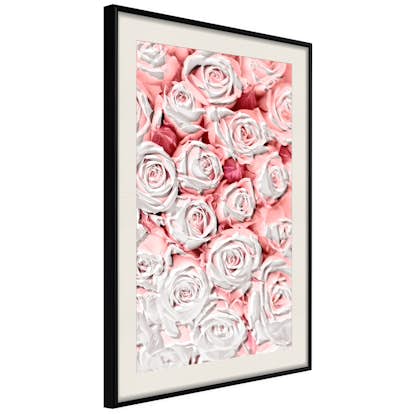 Poster Artgeist Affisch White Roses