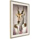 Poster Artgeist Affisch Antelope Jessica