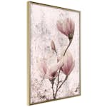 Poster Artgeist Affisch Mature Magnolia