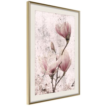 Poster Artgeist Affisch Mature Magnolia