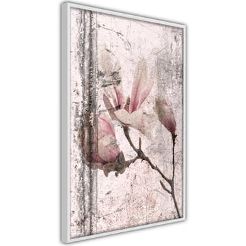 Poster Artgeist Affisch Exquisite Magnolia