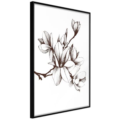 Poster Artgeist Affisch Renaissance Magnolias