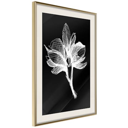 Poster Artgeist Affisch Night Flower