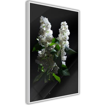Poster Artgeist Affisch Lilacs at Night