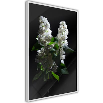 Poster Artgeist Affisch Lilacs at Night
