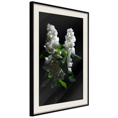 Poster Artgeist Affisch Lilacs at Night