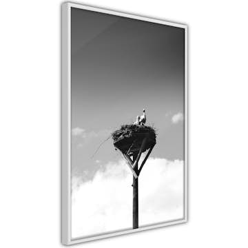 Poster Artgeist Affisch Crow's Nest