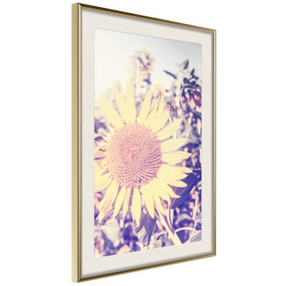 Poster Artgeist Affisch Sunflower