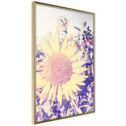 Poster Artgeist Affisch Sunflower