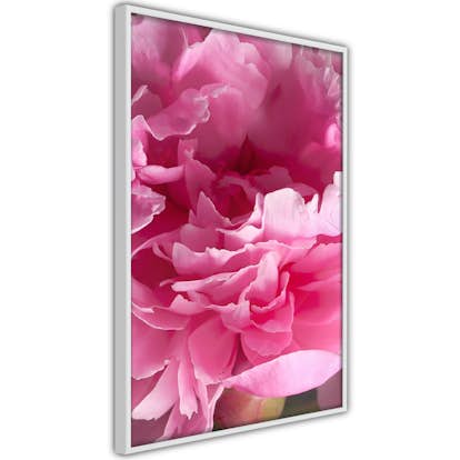 Poster Artgeist Affisch Beautiful Peonies