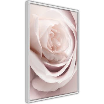 Poster Artgeist Affisch Porcelain Rose