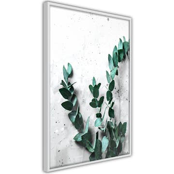 Poster Artgeist Affisch Eucalyptus Scent