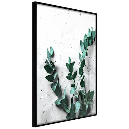 Poster Artgeist Affisch Eucalyptus Scent