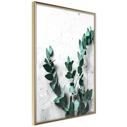 Poster Artgeist Affisch Eucalyptus Scent