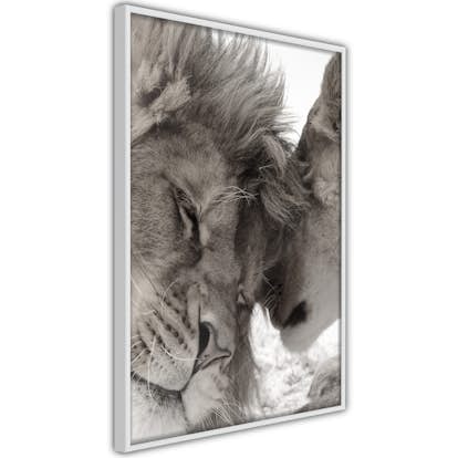 Poster Artgeist Affisch Whispering Dreams