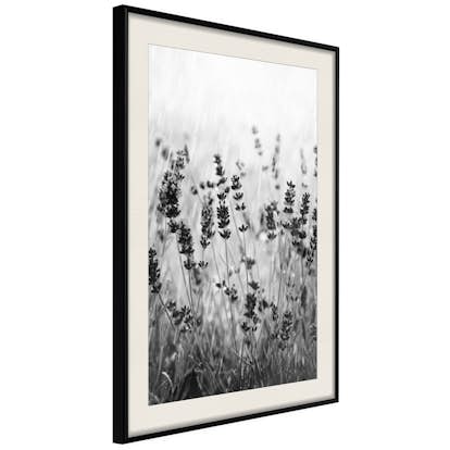 Poster Artgeist Affisch Lavender in the Rain