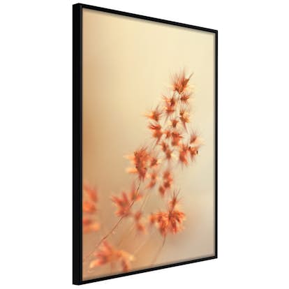 Poster Artgeist Affisch Fiery Grass